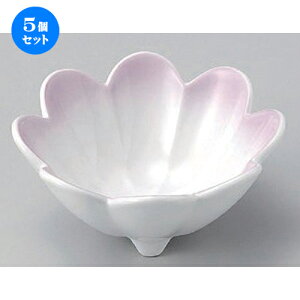 5Zbg  e [ 12 x 5.5cm 215g ] |     {E \ lC  H Ɩp HX JtF    킢 Mtg v[gj j 