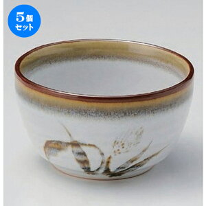 5Zbg g Vڔ3.6 [ 10.5 x 6.5cm 258g ] |     {E \ lC  H Ɩp HX JtF    킢 Mtg v[gj 