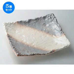 5Zbg ݌ÏđM JX~u10.0lcpM [ 31 x 31 x 5.3cm 1500g ] | 傫 M M M M lC  pX^M p[eB[ H Ɩp HX JtF   Mtg v