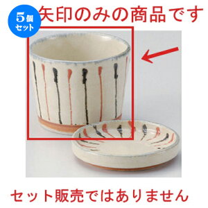 5Zbg Β ꒿\\o [ 8.8 x 6.5cm (180cc) 191g ] |    傱  ǂ  lC H Ɩp HX JtF    킢  M