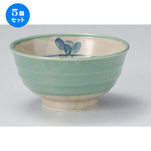 5Zbg p qXC~փ5.5p [ 17 x 9cm 583g ] | Dݘ Ԃ JtF  [  ǂ {E H Ɩp HX JtF    킢 Mtg v