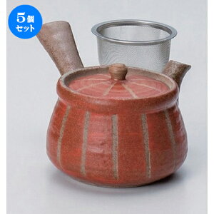 5Zbg }{ /gNT () }{ () (A~t)420cc 290g ] | |bg }{ イ yr  ꕞ ܂ lC  H Ɩp HX JtF    킢 Mtg v