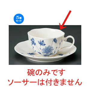 5Zbg R[q[Jbv NBu[t[R[q[q [ 11.5 x 9 x 5.5cm 200cc 98g ] | R[q[ Jbv eB[ g i lC  H mH Ɩp HX JtF   