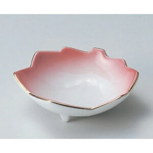 sNJGfԓ [ 10.8 x 10 x 3.7cm 110g ] |     {E \ lC  H Ɩp HX JtF    킢 Mtg v[gj j a 