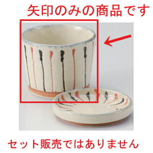 ꒿\ΐ [ 8.8 x 6.5cm (180cc) 191g ] |    傱  ǂ  lC H Ɩp HX JtF    킢  Mtg v[g o 