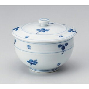 K~Wto [ 9.5 x 7.5cm (160cc) 210g ] |  ̂  璃 ꕞ lC  H Ɩp HX JtF    킢 Mtg v[g o a 蕨 i