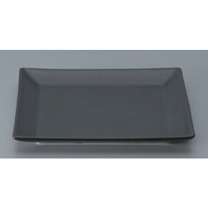 XNGA14pM [ 13.5 x 13.5 x 1.5cm 200g ] | lp XNGA XNGA[ pM pX^ lC  H mH Ɩp HX JtF    킢 Mtg v[g o