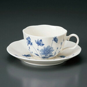 NBu[t[R[q[qM [ 11.5 x 9 x 5.5cm 200cc 15.2 x 2.3cm 262g ] |  zCg  u[ R[q[ Jbv eB[ g i lC  H mH Ɩp HX JtF   