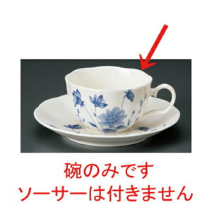 NBu[t[R[q[q [ 11.5 x 9 x 5.5cm 200cc 98g ] |  zCg  u[ R[q[ Jbv eB[ g i lC  H mH Ɩp HX JtF    