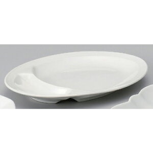 9DMEUM [ 24 x 17.3 x 2.5cm 580g ] | ȉ~ v^[ Lq  lC  H  ѓX ؐH Ɩp HX JtF    킢 Mtg v[g o a 