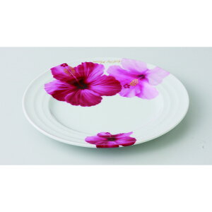 M nCrXJXP[LM [iFP[LMx1/R19.3x1.9cm F20.5x19.7x2.5cm] 350g ϔ Z yH o j z