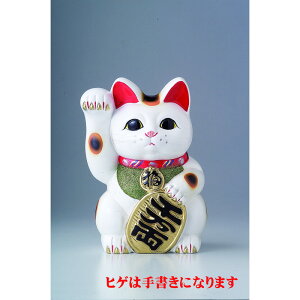 N L4E [iFLx1/9.5x8.5x13cm F9x9x15cm] 300g {[ 튊 yH o j z