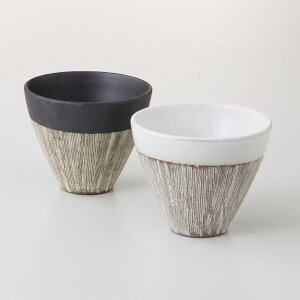  t[Jbv  }t[JbvyA [ iFJbv x 2 / 8.8 x 7.5cm F10 x 17 x 8.5cm ][300g][][Z][{[] | Mtg v[g   킢 蕨 j  t