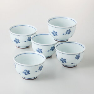    ÐԐ [ iF x 5 / R8.3 x 5.6cm F33.8 x 10.2 x 10cm ][875g][][Z][ؔ] | Mtg v[g   킢 蕨 j  