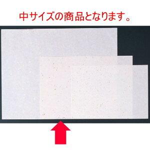 a}bg 玆(100P)() [39 x 26cm]  (7-158-3) | `}bg ΃}bg   lC H Ɩp HX JtF    킢   Mtg