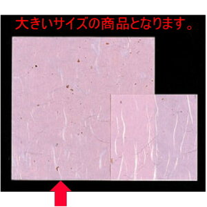 u}bg _sN(100P)() [15 x 15cm] _ (7-166-1) y  aH HX Ɩpz