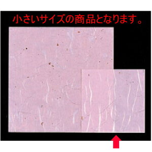 u}bg _sN(100P)() [9 x 9cm] _ (7-166-2) y  aH HX Ɩpz