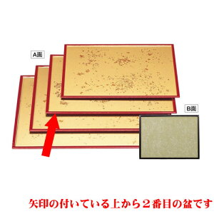 ~ ~F/h3 [39.4 x 28.9 x 1.1cm] ABS (7-30-6) | ~ g[ gC ڂ H Ɩp zV v[g Mtg j o j JXj ސE