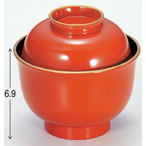 o 3.3zoV @ [10 x 9.7cm] ϔMABS H@ (7-191-9) | o `o o ϕq zo v[g Mtg j o j JXj ސEj Ƃ 