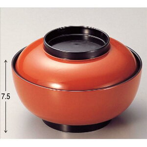 o 5.5[^o΍ [16.3 x 10.8cm] ABS (7-285-7) | o `o o ϕq zo v[g Mtg j o j JXj ސEj Ƃ ˕ i 蕨 lC