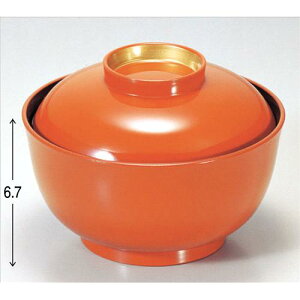 o 4.2璹o΋ [12.5 x 9.3cm] ABS (7-268-4) | o `o o ϕq zo X[v soupcup v[g Mtg j o j JXj ސEj i 蕨 lC 