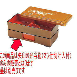 ̓ٓ 0doٓp`pbNWtn [28.6 x 13 x 6cm] ABS (7-404-24) | ԓ ٓ  U   lC H Ɩp HX JtF    킢 