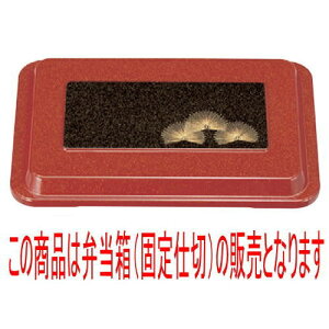 ̓ٓ 0`ٓp[ᏼ [30 x 19.8 x 4.7cm] ABS (7-419-10) | ԓ ٓ  U   lC H Ɩp HX JtF    킢  Mtg v