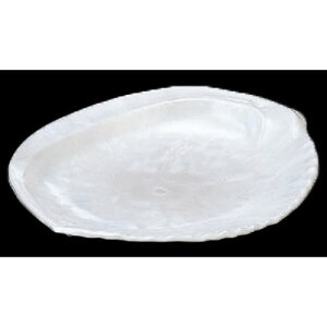 oCLO ѐMp[4 HCh [41 x 32 x 5.5cm] AN (7-607-1) | ό`M M aM lC  H Ɩp HX JtF    Mtg v[g o