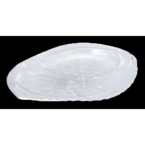 oCLO ѐMp[8 HCh [53.4 x 39.7 x 6.5cm] AN (7-607-1) | ό`M M aM lC  H Ɩp HX JtF    Mtg v[g 