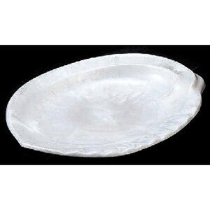 oCLO ѐMp[0 HCh [30 x 21 x 3.760cm] AN (7-607-1) | ό`M M aM lC  H Ɩp HX JtF    Mtg v[g 