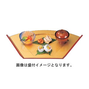 oCLO 쐷 FV SHh [56 x 29.8 x 4.8cm] ABS (7-612-3) | ό`M M aM lC  H Ɩp HX JtF    Mtg v[g o j