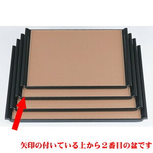 ~ ~x[W^p[3 mXbvH [39 x 31 x 2.1cm] ABS (7-25-1) | ~ g[ gC ڂ H Ɩp zV v[g Mtg j o j JXj 