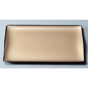 ~ XJCg[VpS[h1 [33.9 x 22.5 x 2.1cm] ABS (7-2-3) | ~ g[ gC ڂ H Ɩp zV v[g Mtg j o j JXj ސEj 