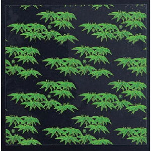 ~ ΃V[g p  24p(200) [24 x 24cm] (7-979-1) | ԓ ٓ  U   lC H Ɩp HX JtF    킢  Mtg v[g o 