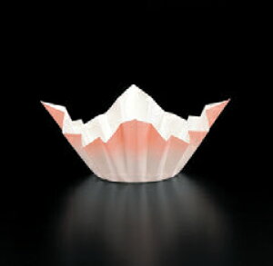 EY Fa 250 F [25 x 25 x 10cm]  (7-920-20) y  aH HX Ɩpz