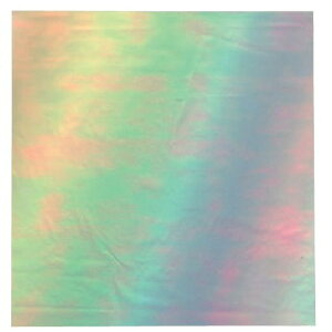 ~ I[V[g 22.5p(200) [22.5 x 22.5cm] (7-980-1) |  i sushi i oO p[eB  lC H Ɩp HX JtF    킢  Mtg v[