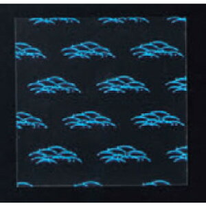 ~ ΃V[g p 䑐 12p(200) [12 x 12cm] (7-978-2) |  i sushi i oO p[eB  lC H Ɩp HX JtF    킢  Mtg v[