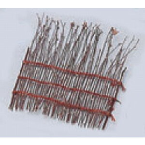  ┋(j)() [13 x 15cm] | (7-725-26) | M M lC  t[cM p[eB[ pX^M H Ɩp HX JtF   Mtg v[g o a 蕨 