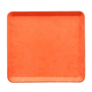 25cm~jg[@IW [25×23×1.7cm] | Ɩp  킢  Vv ~ gC JtF ۈ珊