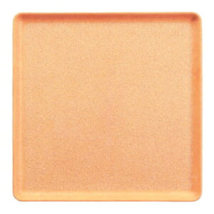 iOF|33j33cmzڊpg[@uEXgNS [33×33×1.8cm] | Ɩp  킢  Vv ~ gC JtF ۈ珊