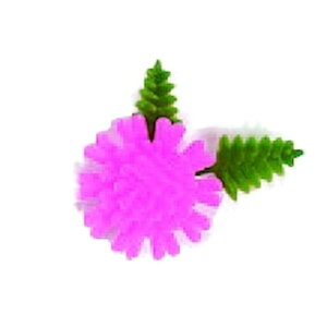 ԁ@e@sNi1000j [2.3×3.8cm ] | ٓ Η   ٓ hgpbN