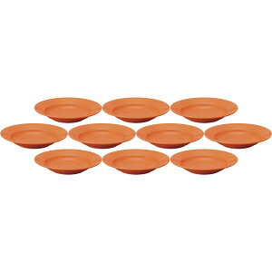 10Zbg v@X 25cm[M p[V [24.5×4.4cm] | mH v@X M CfBbV Xg