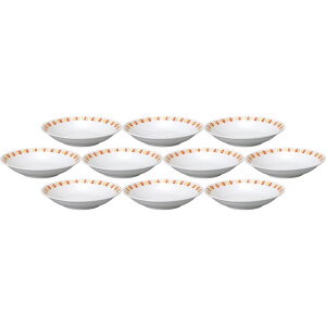 10Zbg DCIWT[N ^23cm[M [23.4×4.6cm] | mH CfBbVv[g IWT[N Xg H@Ή