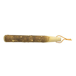 �R�����肱�� (��) [ ��34cm ] �y �������� �z | ���H�X �a�H ���Ή� ���� �� ��ł� �~�[ �Ɩ��p