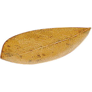 ؃mtM (i`) [ 18 x 9cm ] |i ] | ؐ | ؐ | M  lC  H {H Ɩp HX JtF    킢 Mtg v[g o a