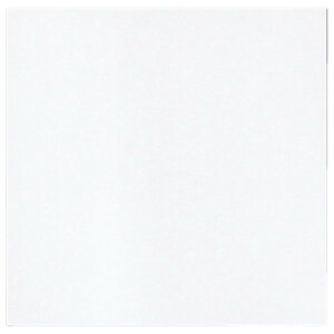 ϖV n (300)  [ 19.7 x 21.8cm ] | Vw VՂ ev  lC H Ɩp HX JtF    킢   Mtg v[g o j