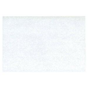 _΂܂ 100 5 F [ 31 x 45cm ] ΃}bg | `}bg ΃}bg   lC H Ɩp HX JtF    킢   Mtg 