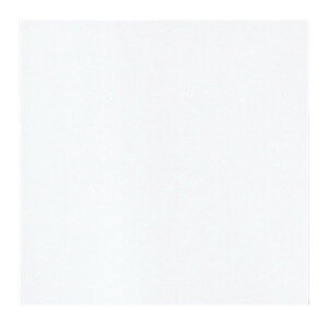 ϖV n (300) 4 [ 12 x 12cm ] | Vw VՂ ev  lC H Ɩp HX JtF    킢   Mtg v[g o j 