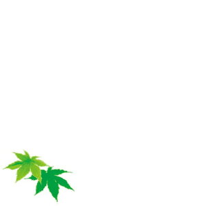 ~jϖV 100 ݂(4`8) [ 9.8 x 9.8cm ] | Vw VՂ ev  lC H Ɩp HX JtF    킢   Mtg v[g 