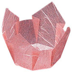 OP B g~ 200 [ 7 x 7 x H4.7cm ] y  z |    U ze  Ɩp